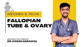 Fallopian tube & Ovary || Pelvis Anatomy || First Year MBBS || Anatomy Lectures by Ashish screenshot 4