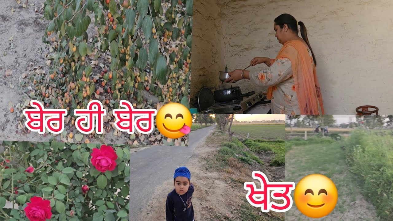 ਅੱਜ ਗਏ ਖੇਤ ਗੇੜਾ ਲਾਉਣ 😊l ਅੱਜ ਤਾਂ ਛੋਲੀਆ ਹੀ ਛੋਲੀਆਂ ਹੋਇਆ ਪਿਆ 🤗 