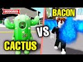 Cactus attaqu par un bacon en colre  bataille pique  roblox  brookhaven rp