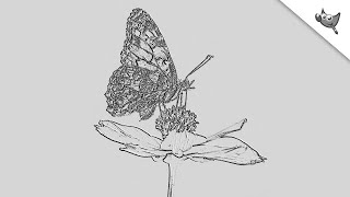 How to Create Embossed Image Effect in GIMP screenshot 5