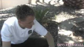 Roaches in Your Home and Yard? - Controlling Roaches - Bulwark Exterminating