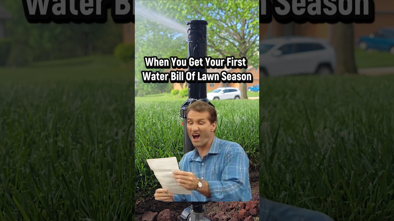 First lawn season water bill be like #meme #shorts #relatable