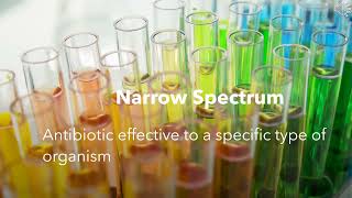 chapter 12 antimicrobial treatments