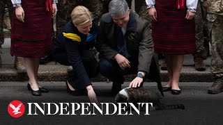 Ukrainian ambassador plays with Larry the cat outside Number 10 Downing Street