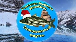 Как поймать Заиндевелого окуня на Ледяном озере [АРХИВ] | Реальная Рыбалка