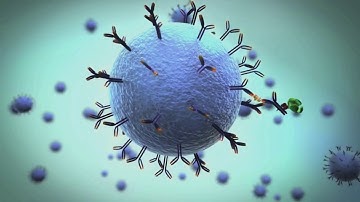 Introduction to Quanterix Simoa Digital ELISA Single Molecule Detection System