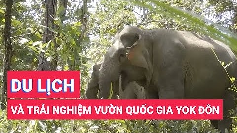 Du lịch trải nghiệm Vườn quốc gia Yok Đôn