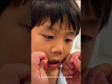 #채우니#고양이 #일상브이로그 #일상