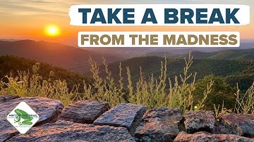 Take a Break From the Madness | Sunrises and Sunsets