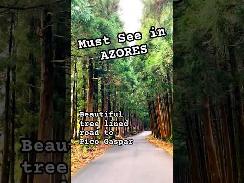 Road To Pico Gaspar On Terceira Island In Azores Travel Portugal 