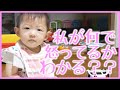 愛しの娘の機嫌をとろうと必死なパパ