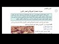 منجزات الحضارة العربية في العصر الأموي تاريخ سابع الدرس الخامس