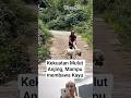 Part 5 : Kisah Haru Wanita Tua dan Seekor Anjing #warta #fakta #faktaunik #faktamenarik
