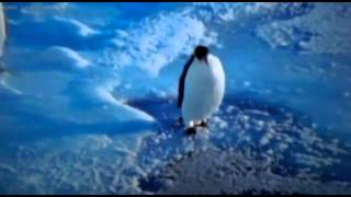 Penguin fail #2