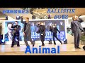 BALLISTIK BOYZ - Animal 240228 台灣台中lalaport BALLISTIK BOYZ新專輯發售紀念 @catchmoment_