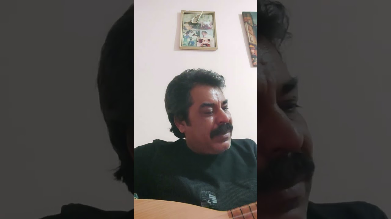 Süleyman şahin dağlar dağladı beni