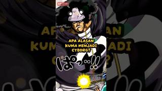 Apa Si Alasan Kuma Mau Menjadi Cyborg  One Piece shorts onepiece