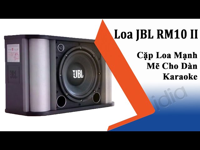 Loa JBL RM10 II - Cặp Loa Karaoke Tốt Mạnh Mẽ Cho Dàn Karaoke Của Gia Đình