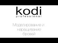 Моделирование и наращивание бровей Kodi Professional