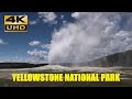 Yellowstone National Park during  Pandemic, June 2020, 4k