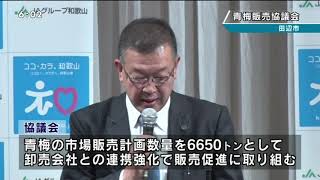 20190425青梅協議会