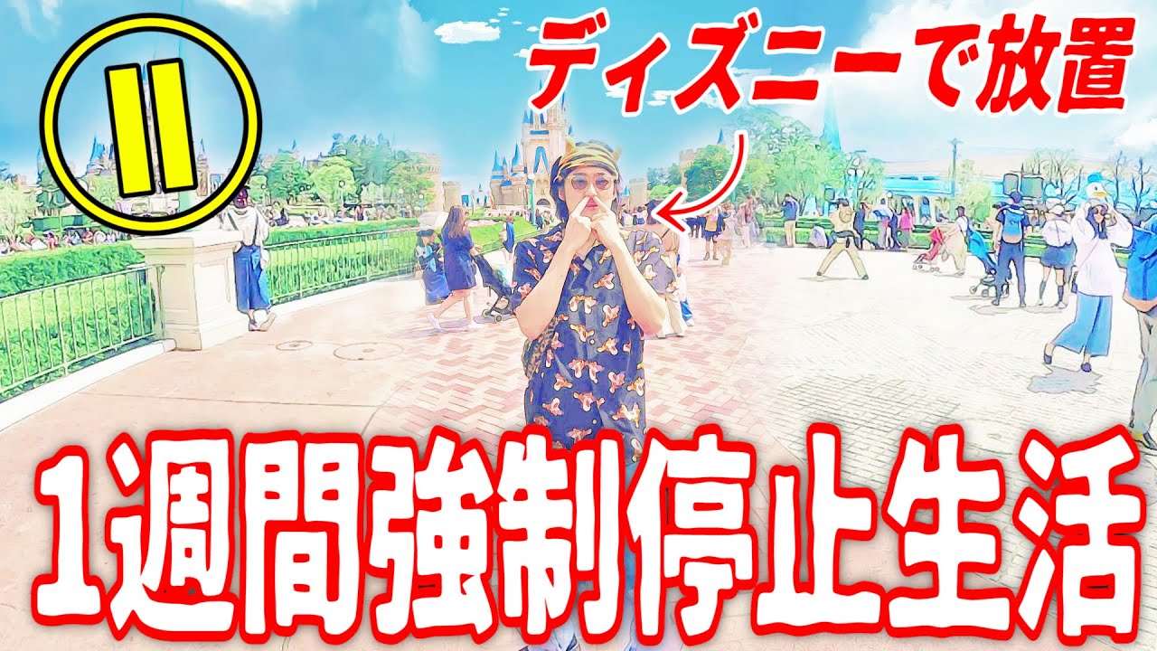 停止生活 ディズニーの中心で1歩も動かないでみた結果が面白すぎたwww まとめ集 Pause Challenge Youtube