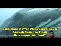 Bagaimana Hewan Menyusui di Laut? Apakah Susunya Tidak Bercampur Air Laut? | Berisik Episode 8