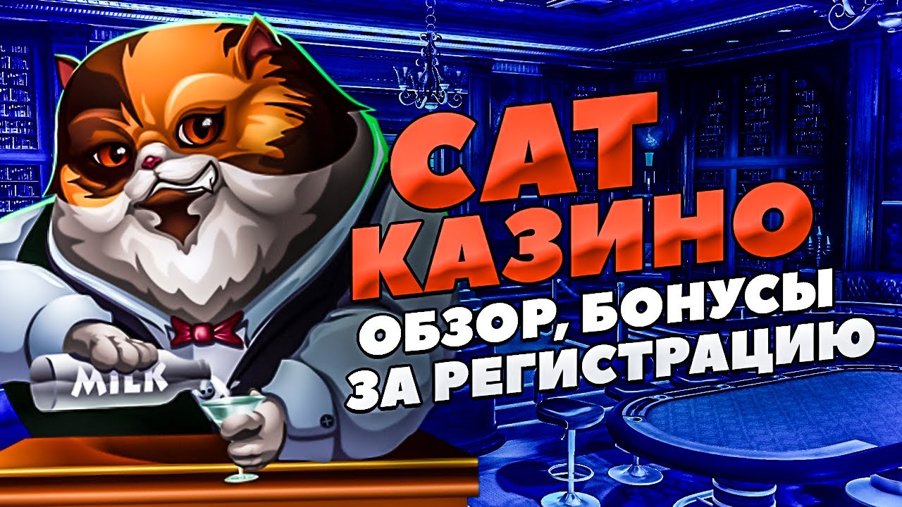 кет приложени казино