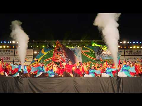 [4K]京炎そでふれ！Tacchi　大型チーム部門 銀賞　2017おの恋おどり
