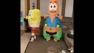 Spongebob and Patrick inflatable Costumes