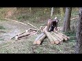Der Holzrücker von Taxenbach im Sommer