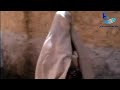 شاهدوا مدينة غرداية في عام 1970 فيديو نادر Ghardaia 1970