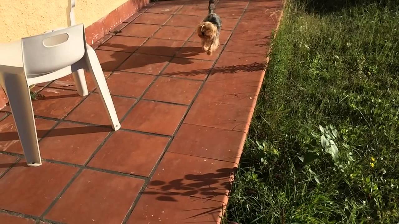 Video in slow motion con iPhone 5s - iPhoneItalia.com