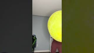 Oddly Satisfying Balloon Pop!!