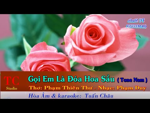 Video Gọi Em Là Đóa Hoa Sầu ( karaoke Tone Nam ) - youtube