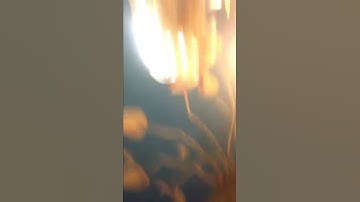 Thumbnail of Linkin Park - Crawling (One More Light Live)