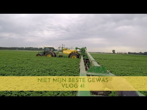 Video: Anel Ontkent De Vermeende Zoon Van José José