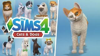 FIRST LOOK AT THE SIMS 4: CATS AND DOGS (Create A Pet)