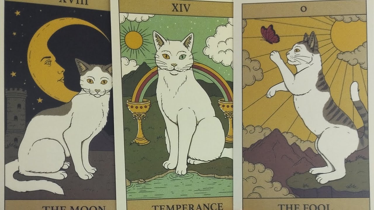 ÁRIES 🐏♈ 11-19 FEV/26 QUANDO A ESMOLA É DEMAIS, O SANTO DESCONFIA! 💥SQN! É VERDADE MESMO!