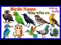 Birds Name learn 60 Birds Name with Images Birds Vocabulary #birdsnamesinenglish @kidseducationBangl