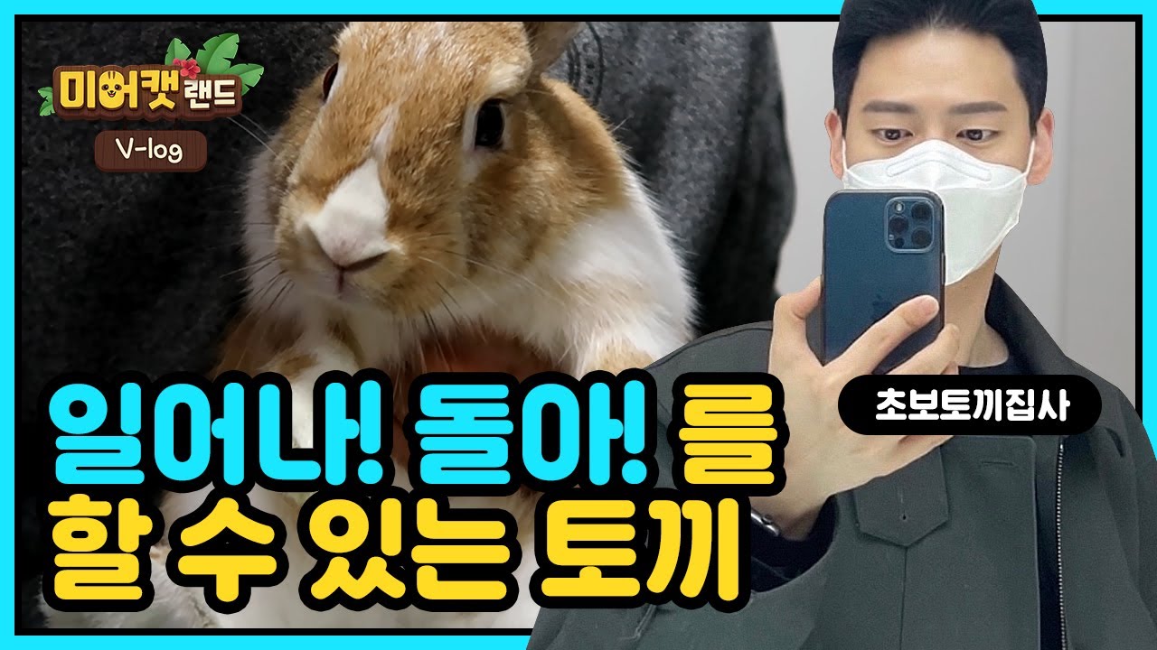 토끼도 일어서, 돌아 할 수 있다고?!(Can a rabbit sit and turn