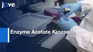 Direct Detection: Acetate-Forming Activity Of Enzyme Acetate Kinase l Protocol Preview Resimi