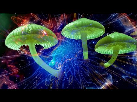 Video: Je! Unajua Psychedelic Ni Nini? Kutana