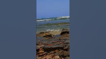 #القارئ #ماهر_المعيقلي يعجبك هذا المحتوى؟!.. تابعني 💜 #راحة_نفسية #اكسبلور