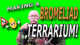 Growing Bromeliads in a Terrarium!
