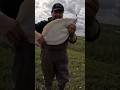 #pesca #fishing ##lenguado #amigos #flounder #fluke #goprohero12black #viralshort