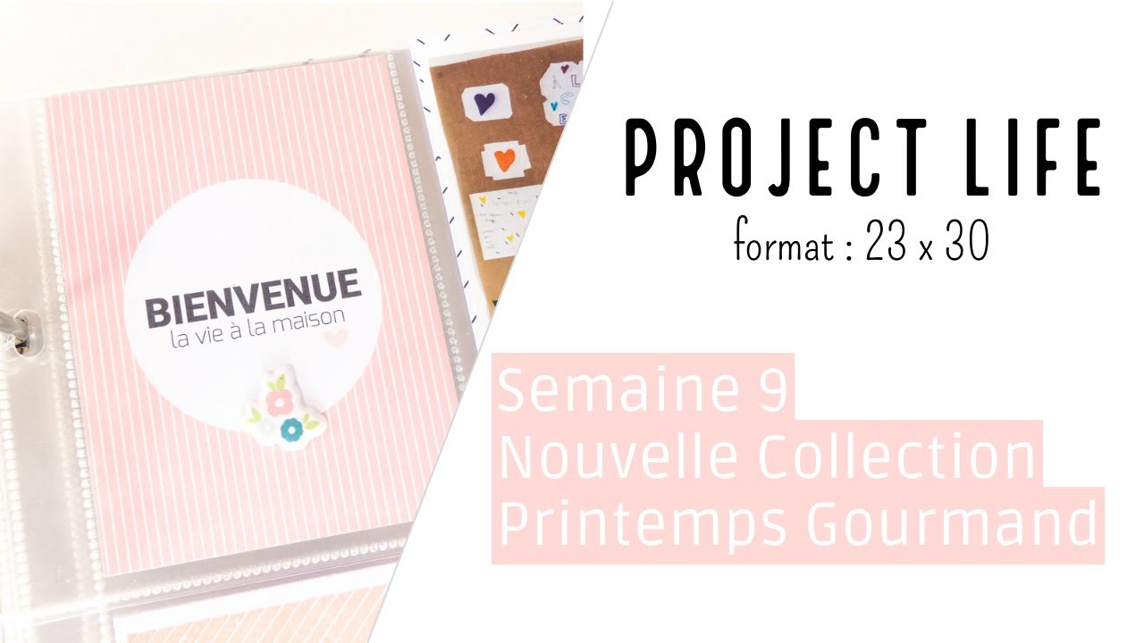 [Album photo 2023] Préparation de la nouvelle collection