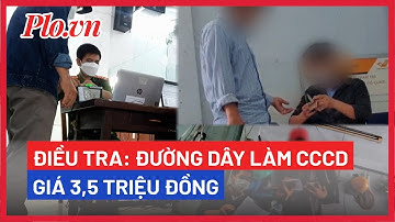 Điều tra: Đường dây làm CCCD giá 3.5tr - PLO