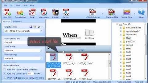 How to convert Flash/SWF to MP4, and add watermark on MP4?