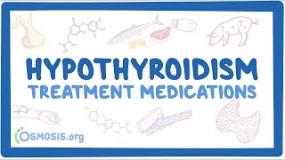Hypothyroidism treatment medications ~pharmacology~